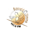 Bosveld Stereo Bosveld Stereo